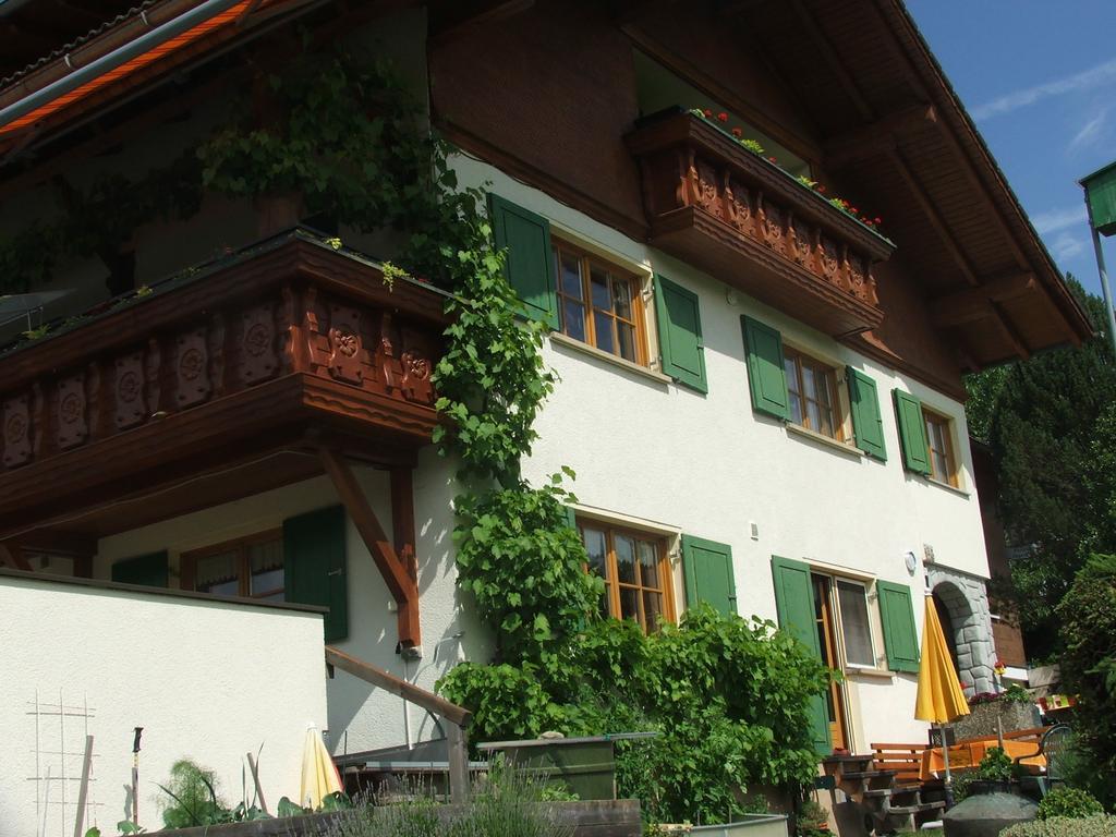 Pension Jaegerheim Krumbach  Exteriér fotografie