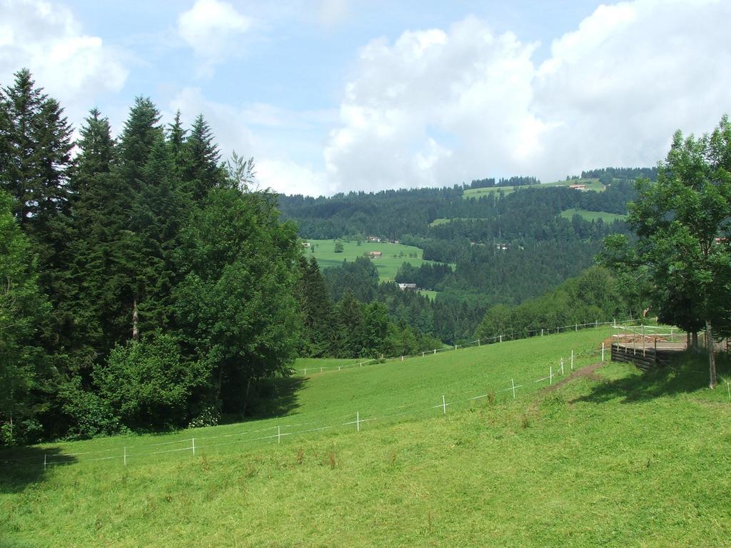 Pension Jaegerheim Krumbach  Exteriér fotografie