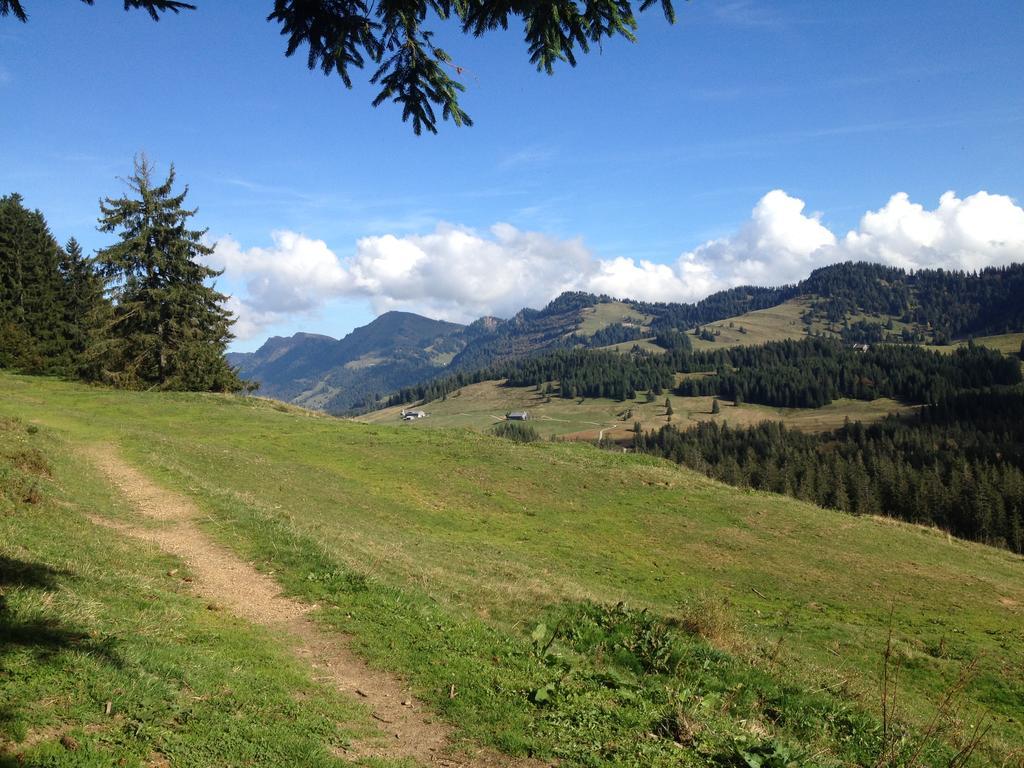 Pension Jaegerheim Krumbach  Exteriér fotografie